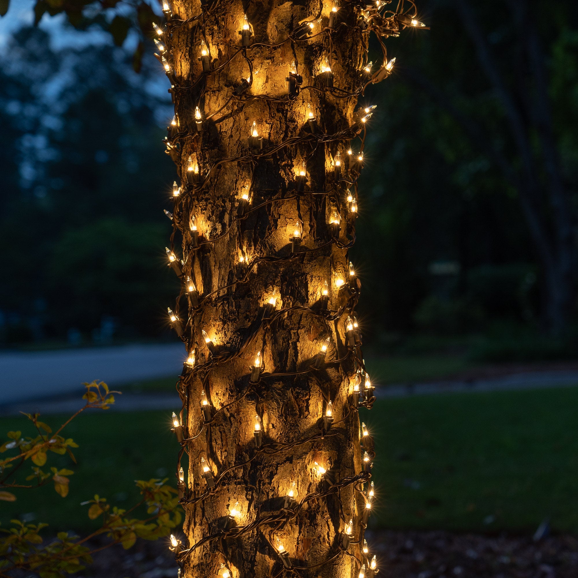 144" LED Outdoor Net Lights for Tree Trunks & Columns - Clear Glass